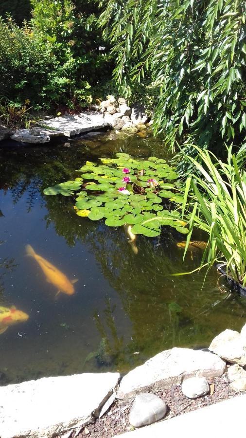 Le Jardin De Nemo Bed & Breakfast Biscarrosse Bagian luar foto