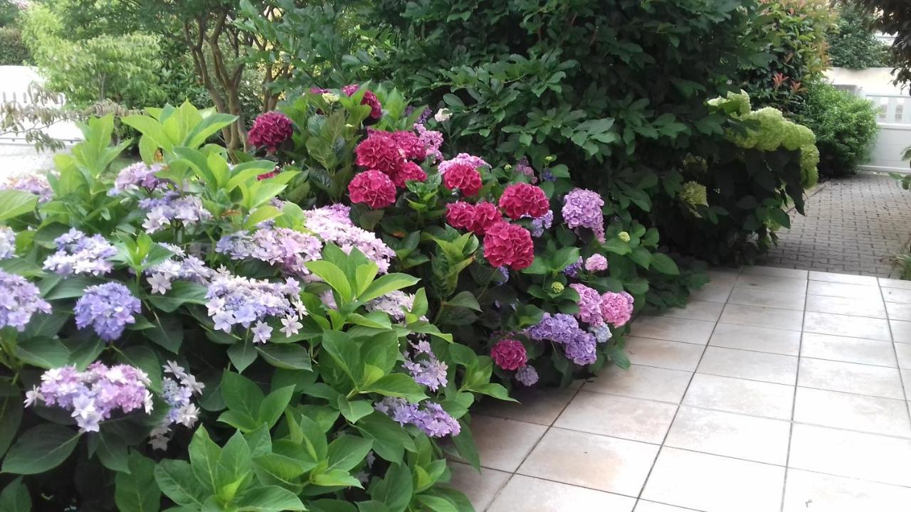 Le Jardin De Nemo Bed & Breakfast Biscarrosse Bagian luar foto